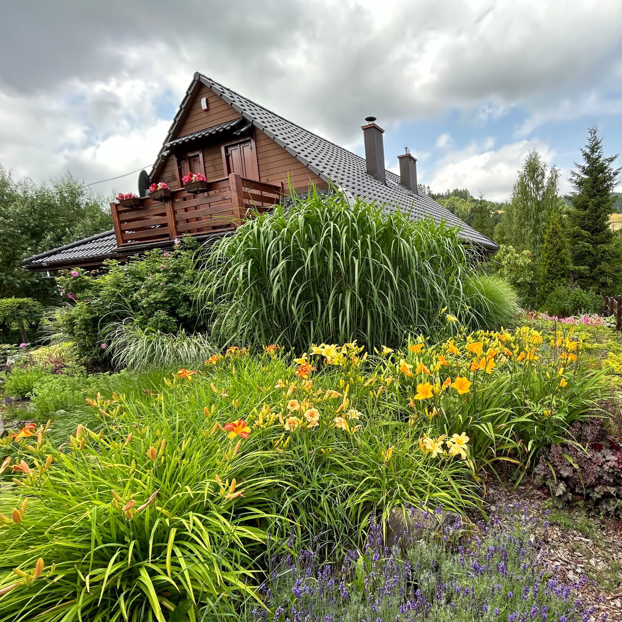 Kolorowy ogród przy domu w Soblówce - kwiaty i zieleń w górach